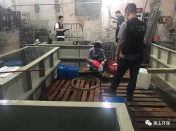 佛山三級(jí)環(huán)保加公安部門聯(lián)合執(zhí)法查處南海2家污企，七人被帶走調(diào)查
