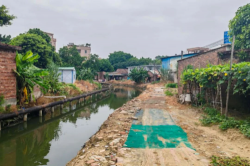 東莞高埗：清除障礙，提高河道整體防洪能力